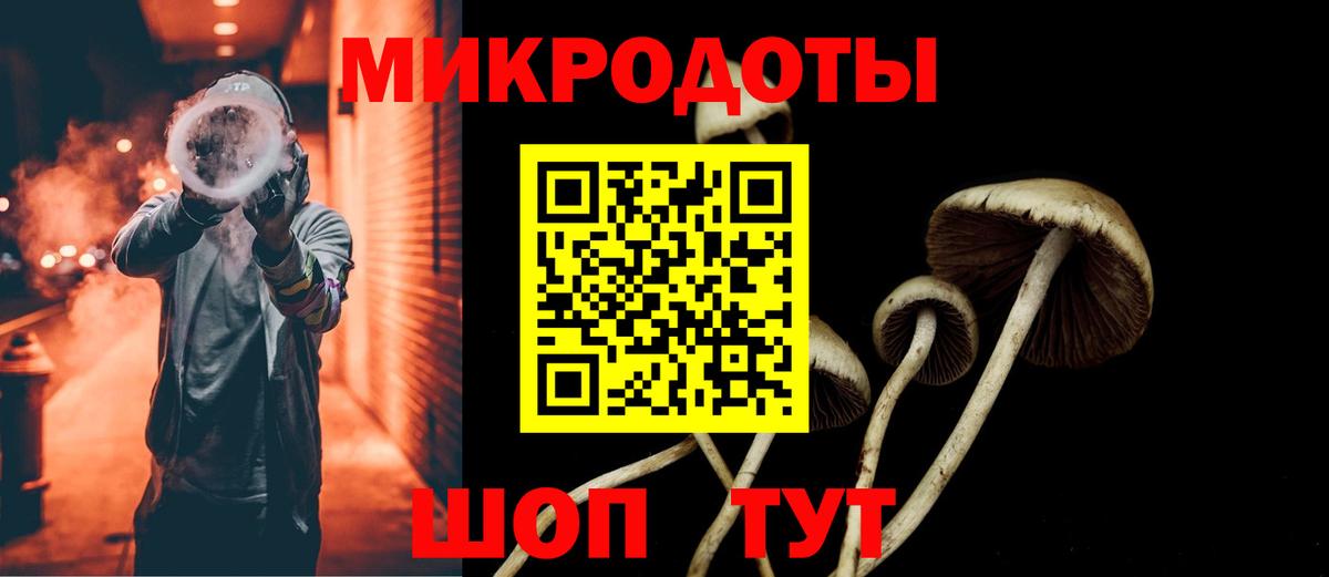 Камышин  Галлюциногенные грибы GOLDEN TEACHER  Вход с VPN  Псилоцибиновые грибы Psilocybe 